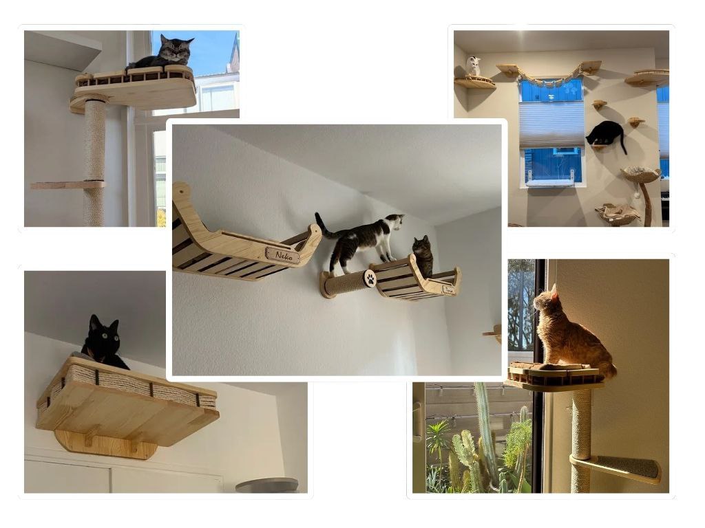rshpets best selling cat wall furniture