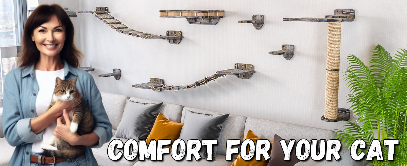 cat wall shelves