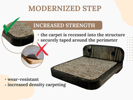 cat steps