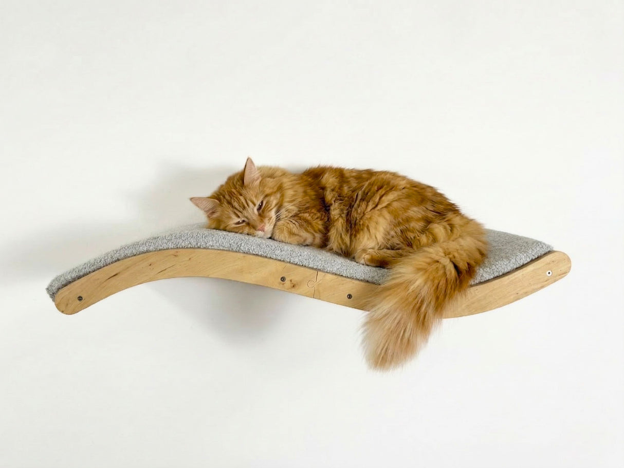 Cat sleeping on a wooden and fabric cat shelf against a white background