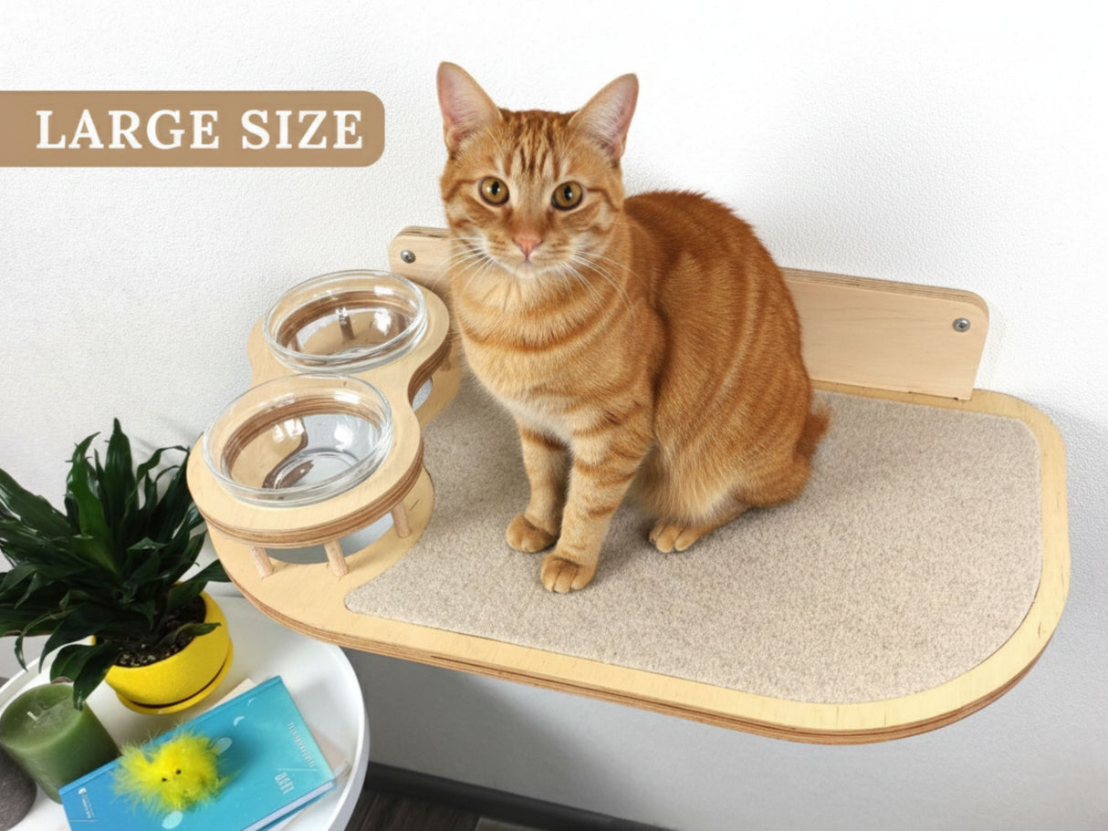 Elevated Сat Feeding Station (Wall Mounted)