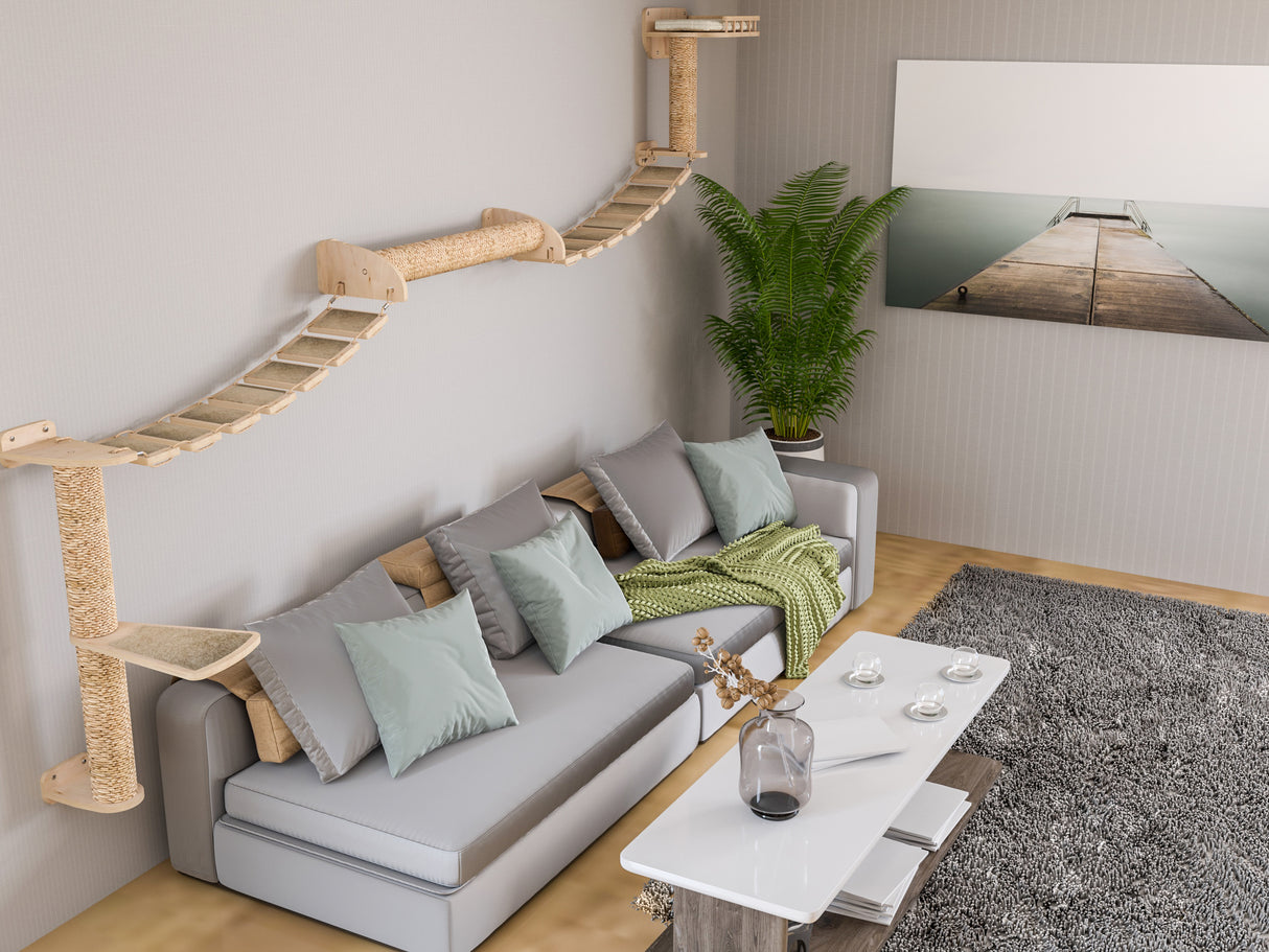 Cat Wall Playground Structure