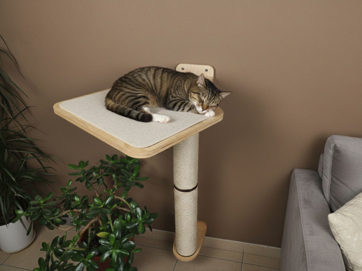 Cat lounging on a cat tree with a plant and sofa in the background