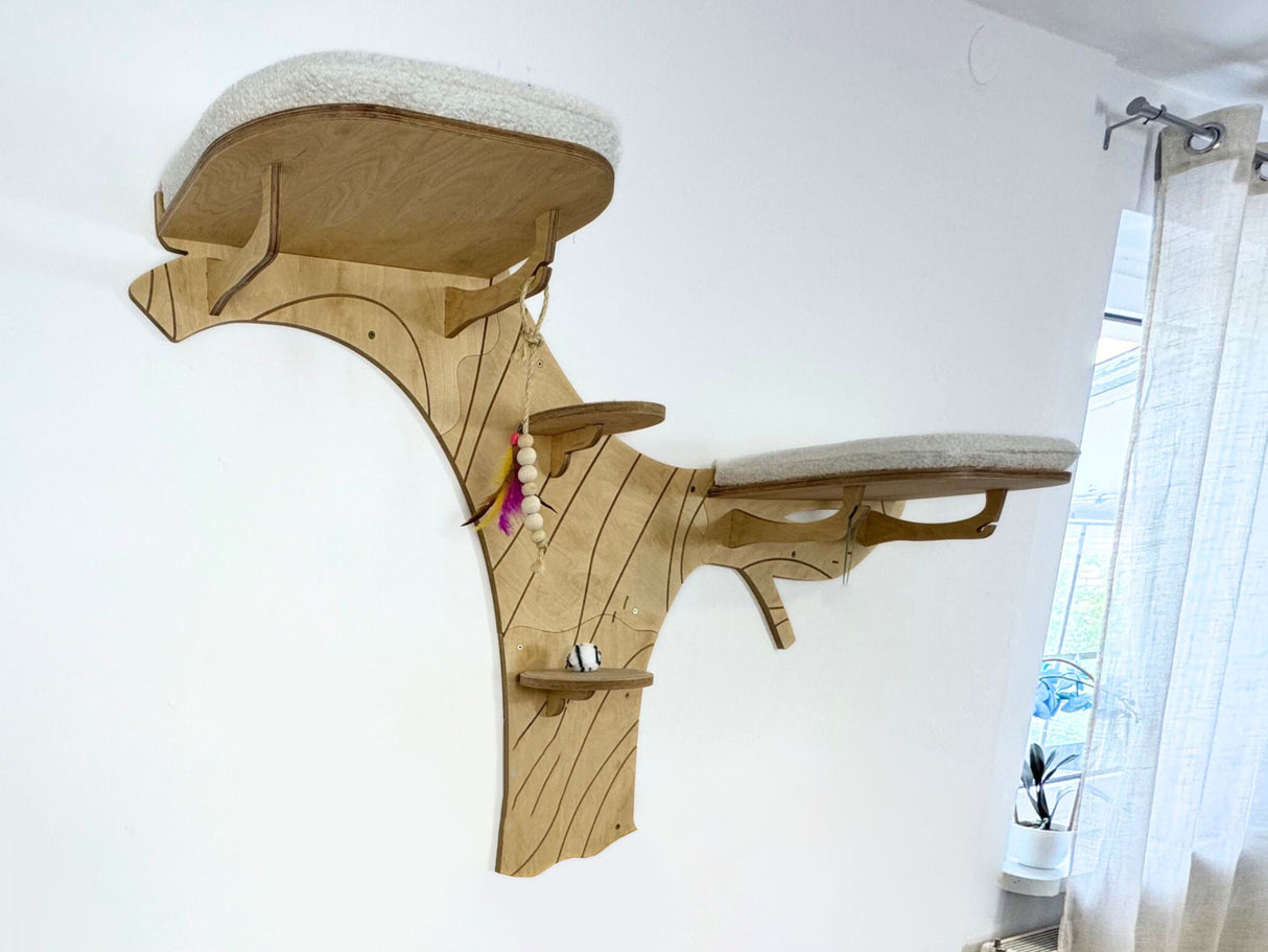 cat shelves for large cats