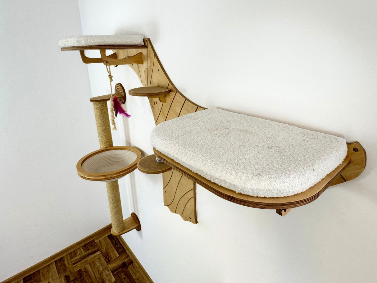 cat climbing shelves