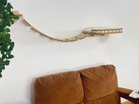 cat wall shelves