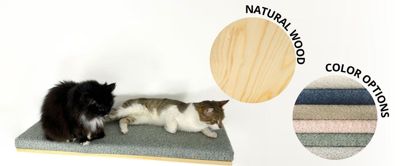 cat shelves on wall