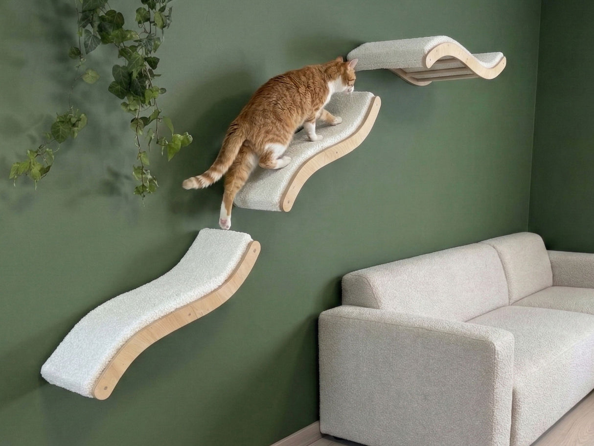 Cat climbing on a wall-mounted cat shelf against a green wall with a gray sofa.