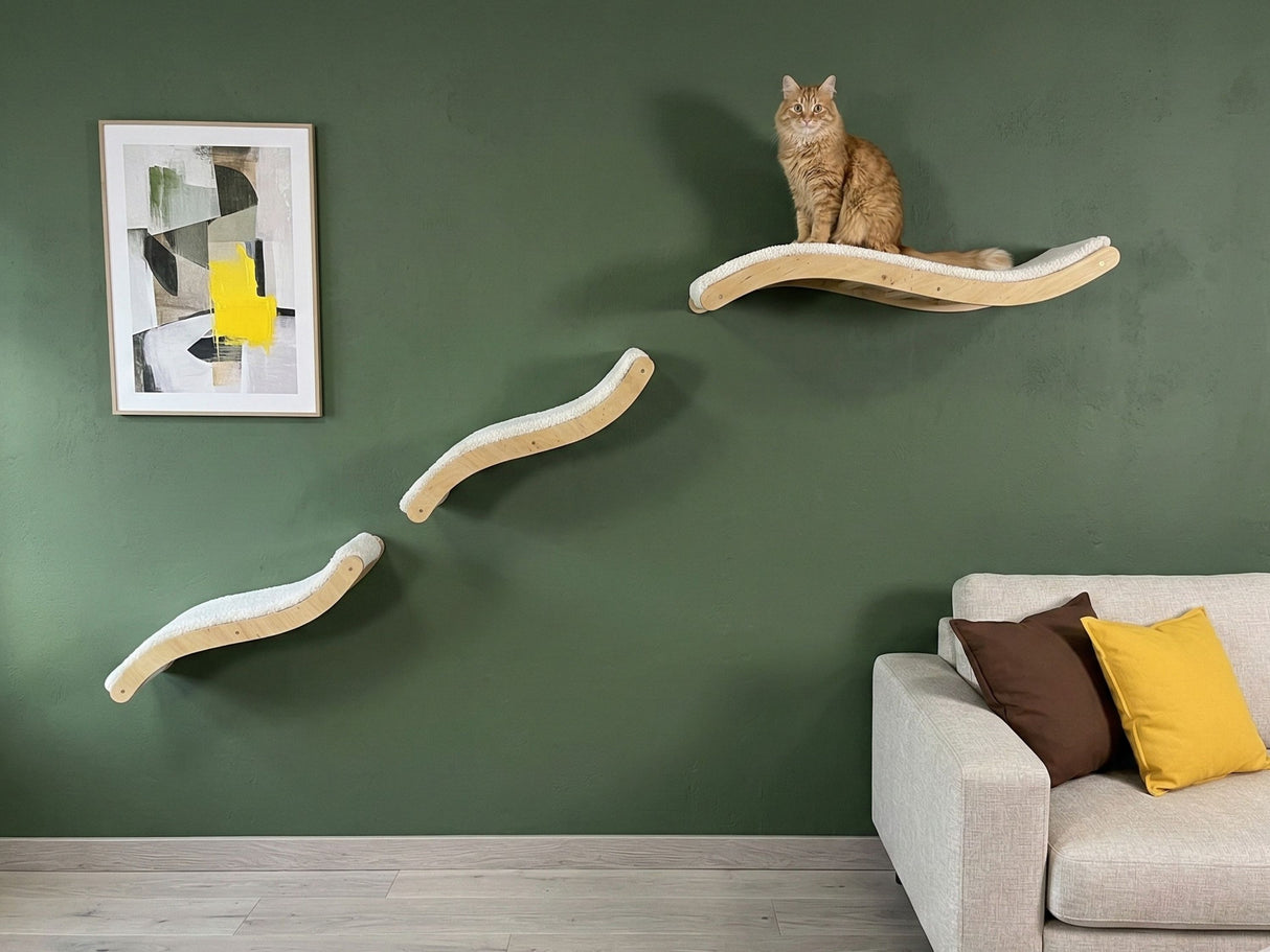 Cat sitting on a wall-mounted cat shelf with a green wall and sofa in the background