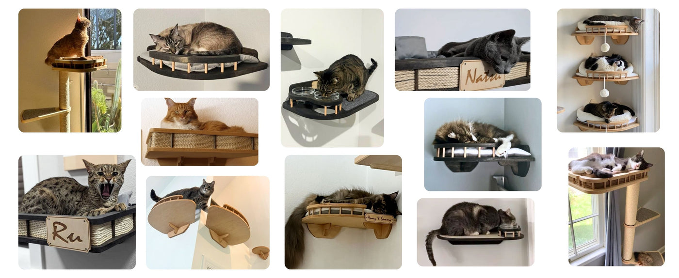 review collage bestsellers rshpets