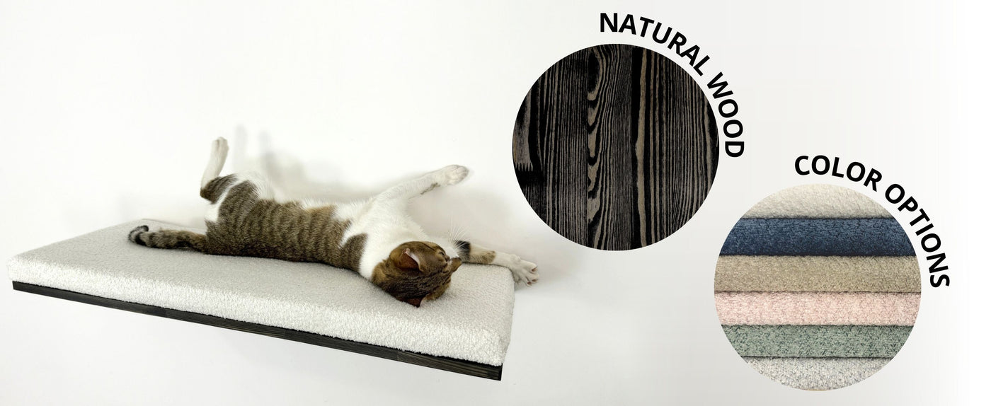cat wall shelves