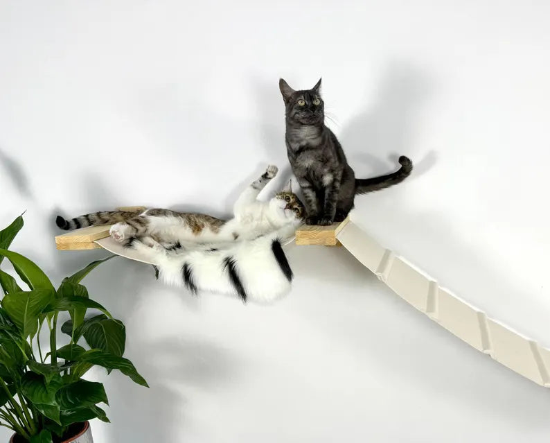 cat wall hammock