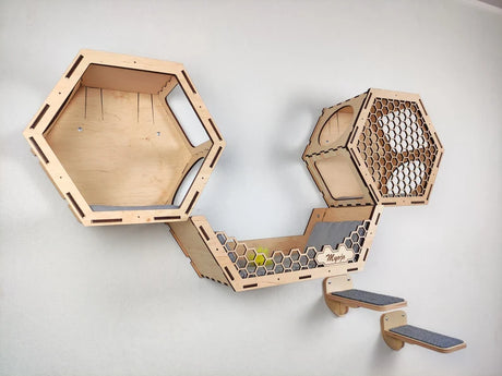 Hexagon cat wall shelves