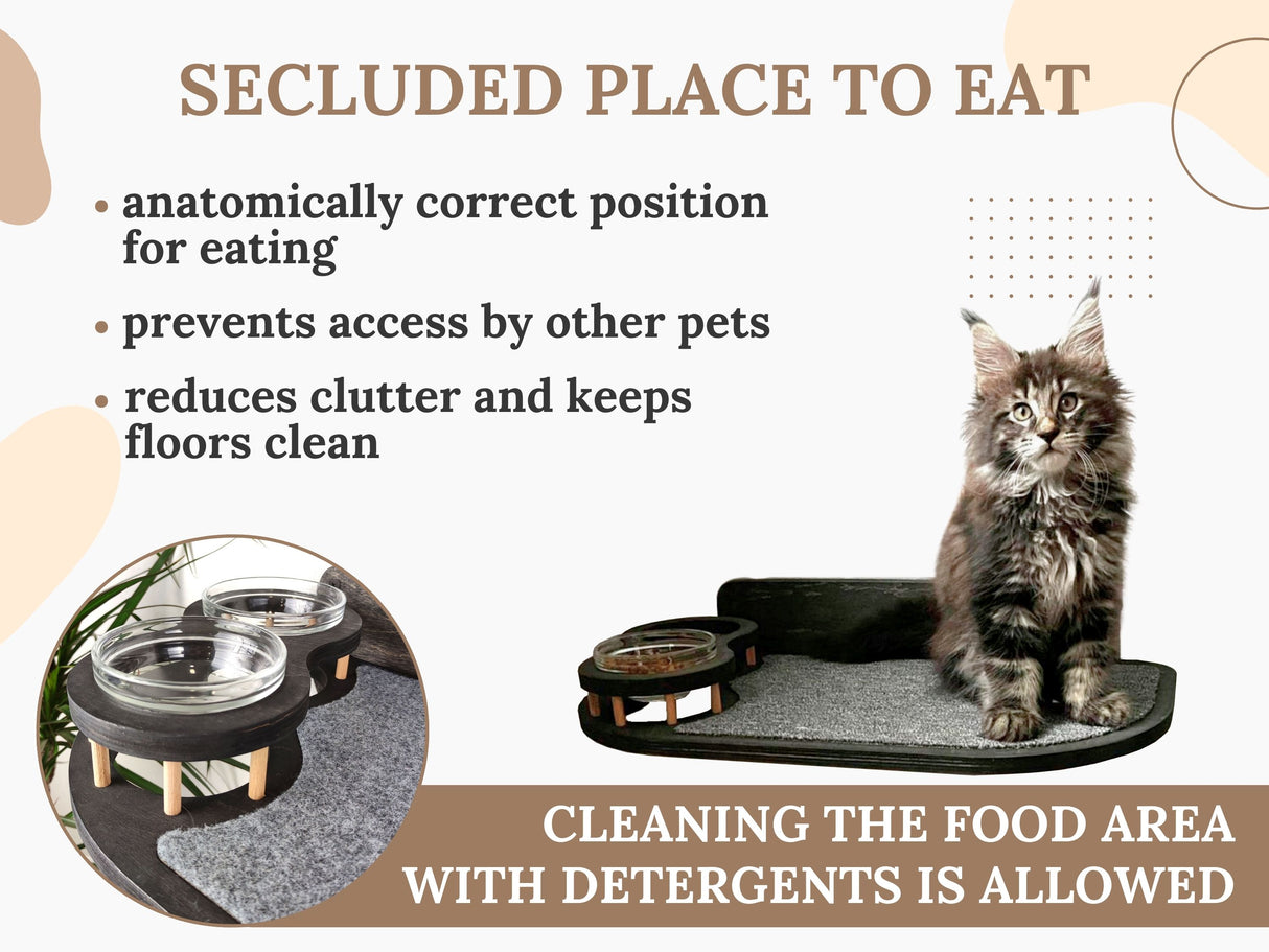 cat shelves for the wall