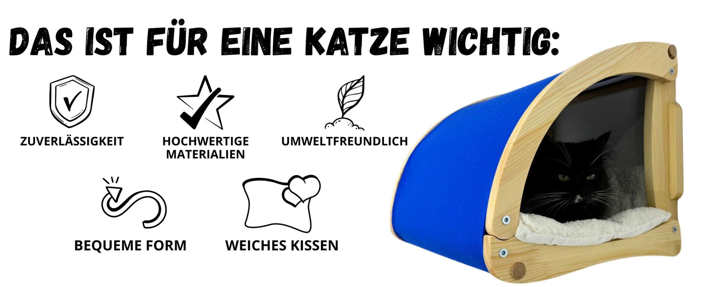 katzen bett
