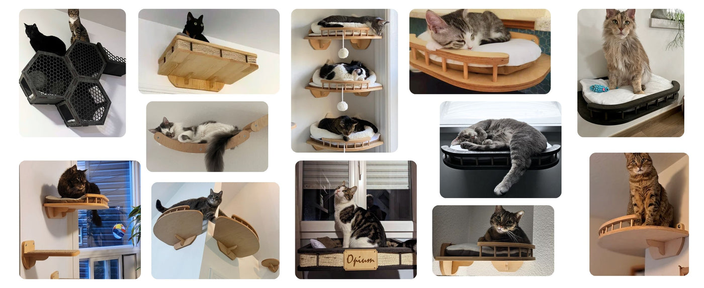 review collage wall mounted cat shelves