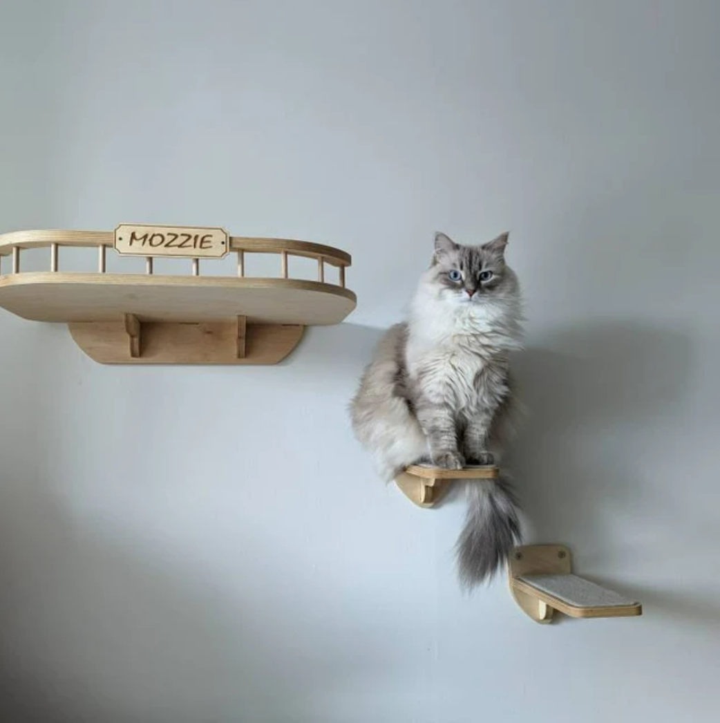 Wall-mounted cat bed with steps – the perfect climbing solution for cats