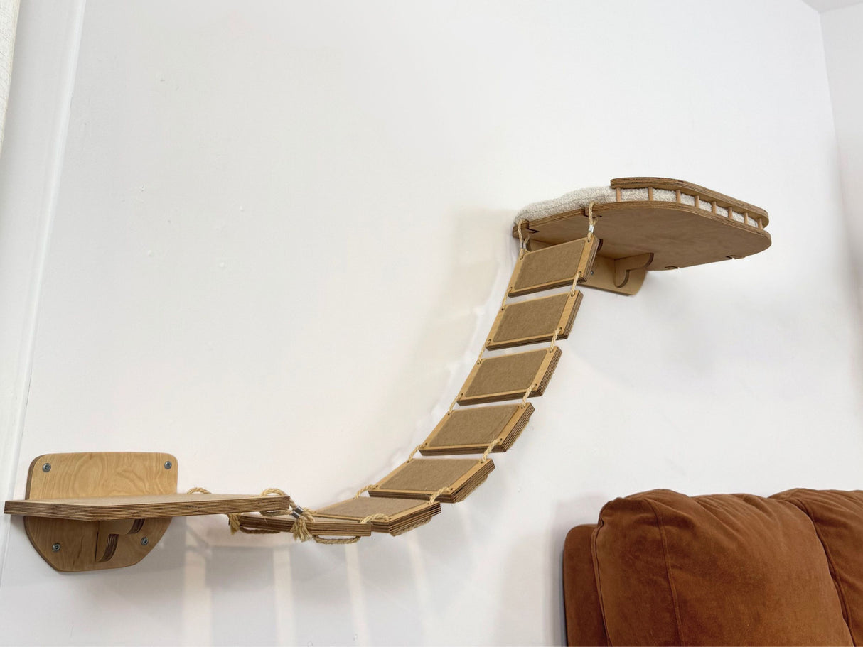 cat shelves wall