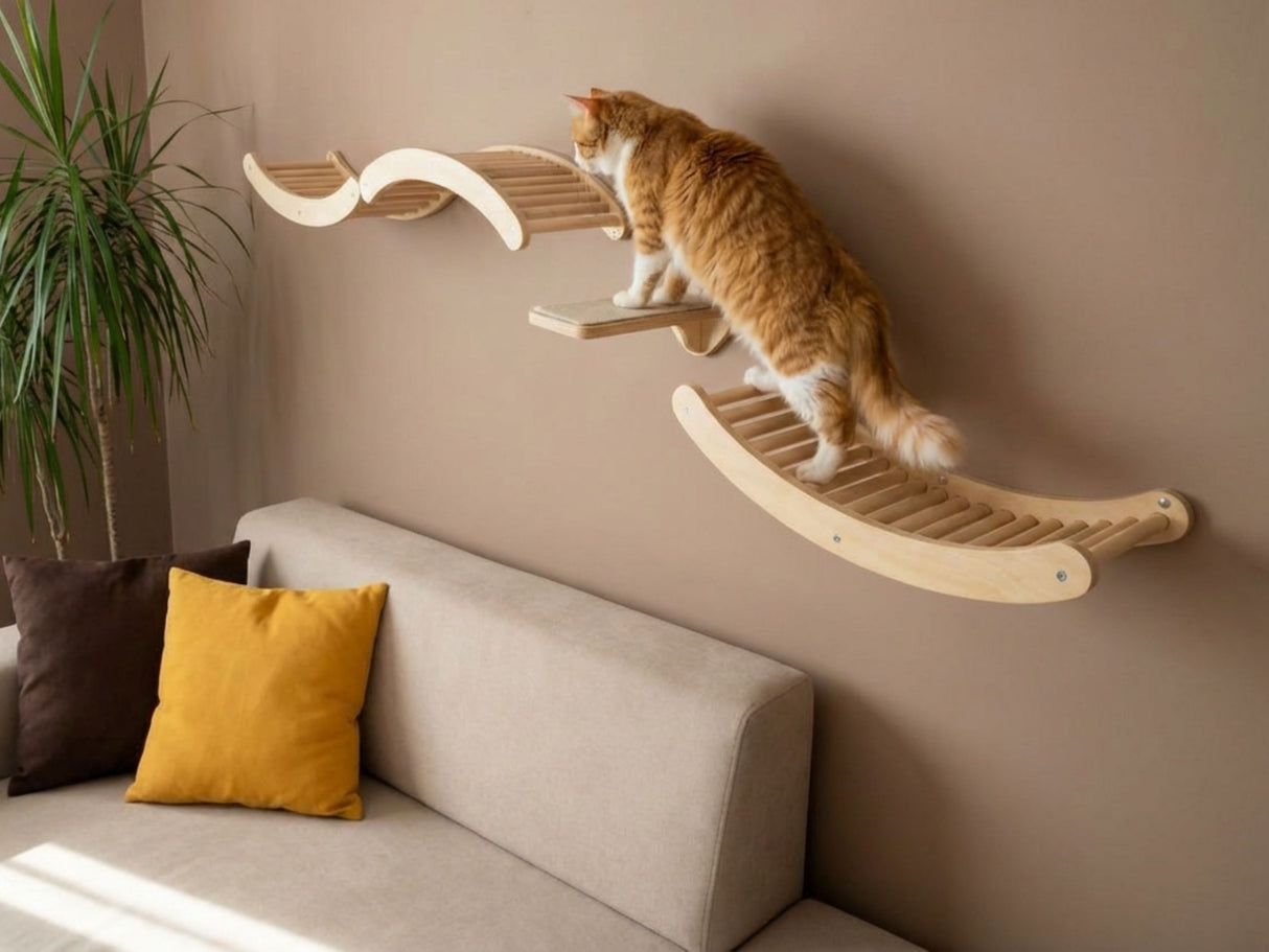 Cat climbing a wooden wall shelf attached to a beige wall with a sofa and plant in the foreground.