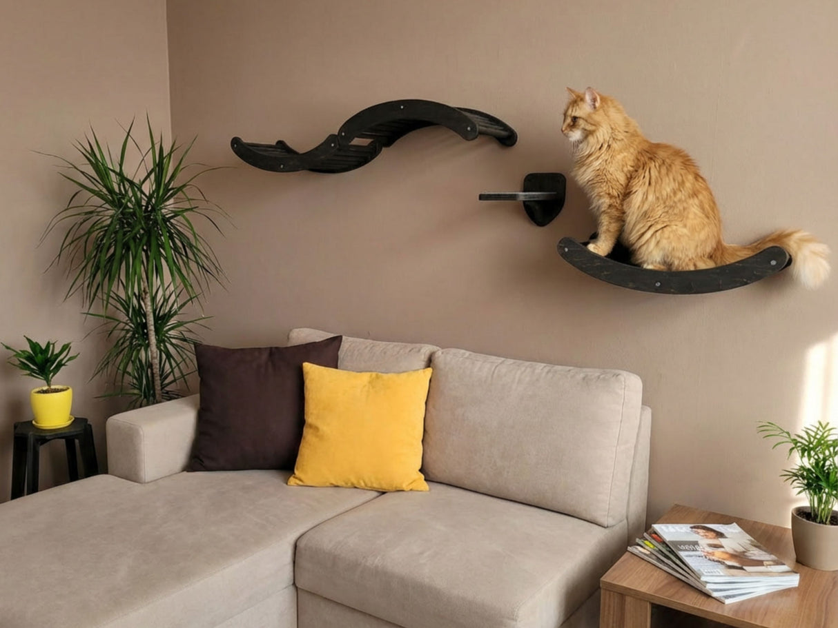 Cat sitting on a wall-mounted cat shelf in a living room with a beige sofa and decorative plants.