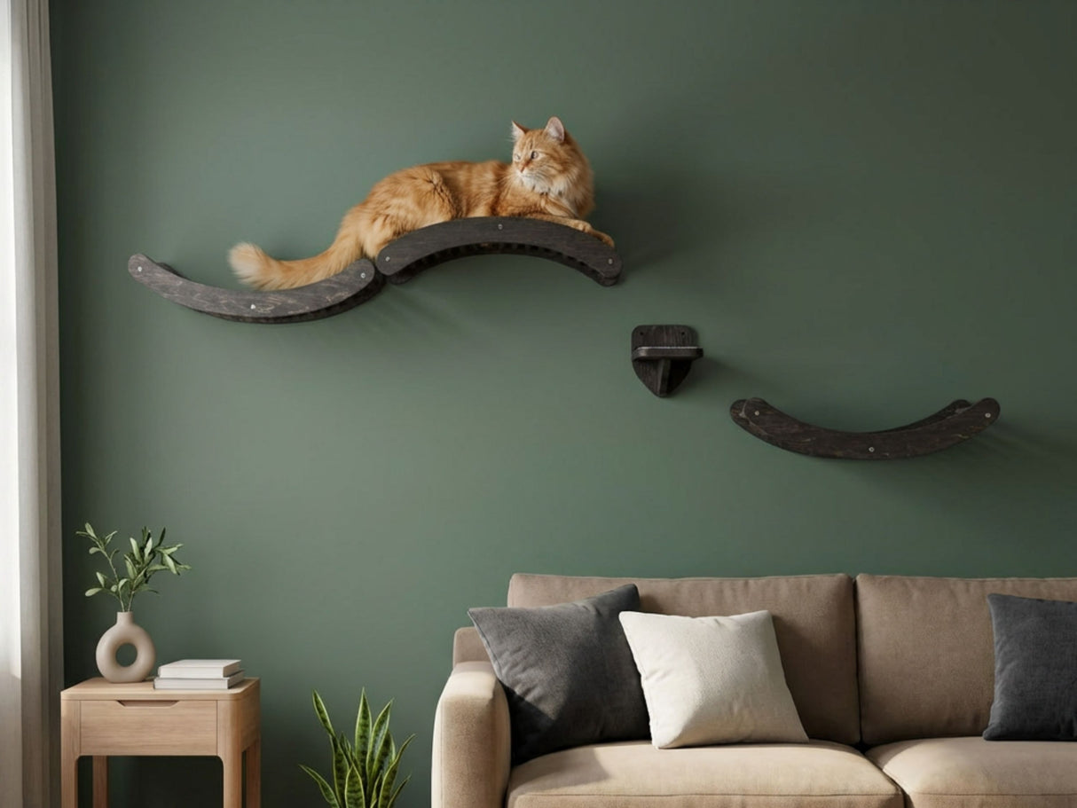 Cat lounging on a wall-mounted cat shelf in a living room with a couch and decor.