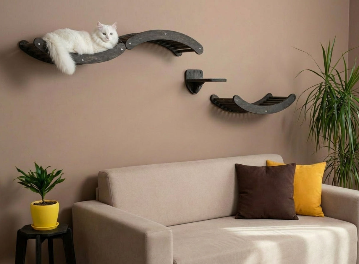 Cat on a wall-mounted cat shelf with a beige sofa and decorative pillows in the foreground.