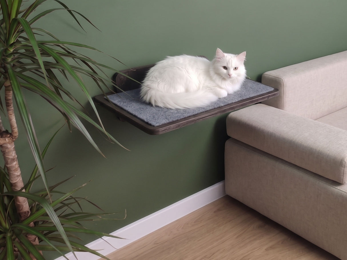 Dark cat wall shelf with capet
