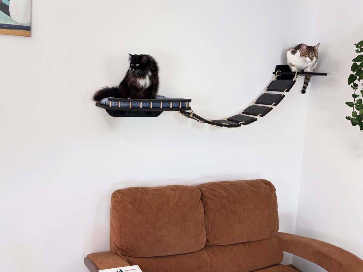 cat bridge wall
