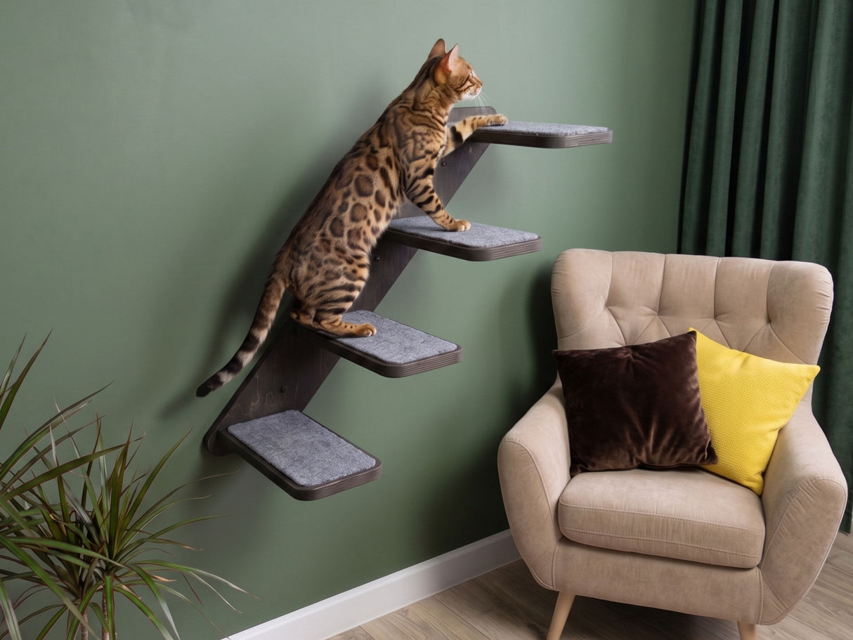 Dark wall cat ladder with 4 steps