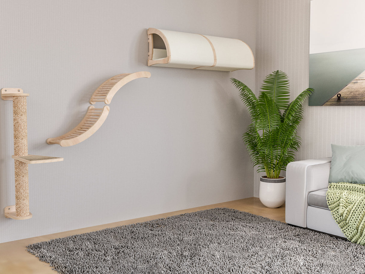Cat climbing wall and shelf in a living room with a plant and sofa.