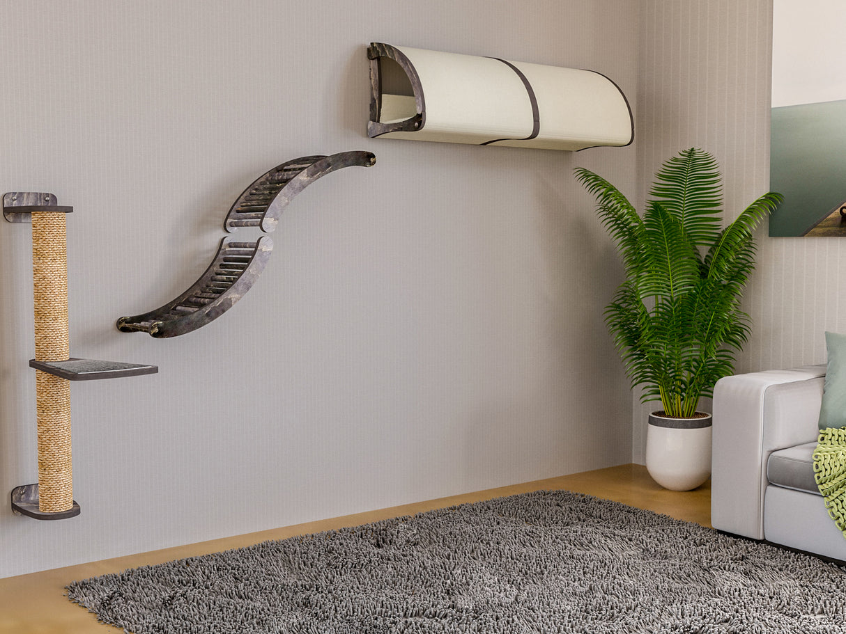 Cat climbing wall with a plant and sofa in a room