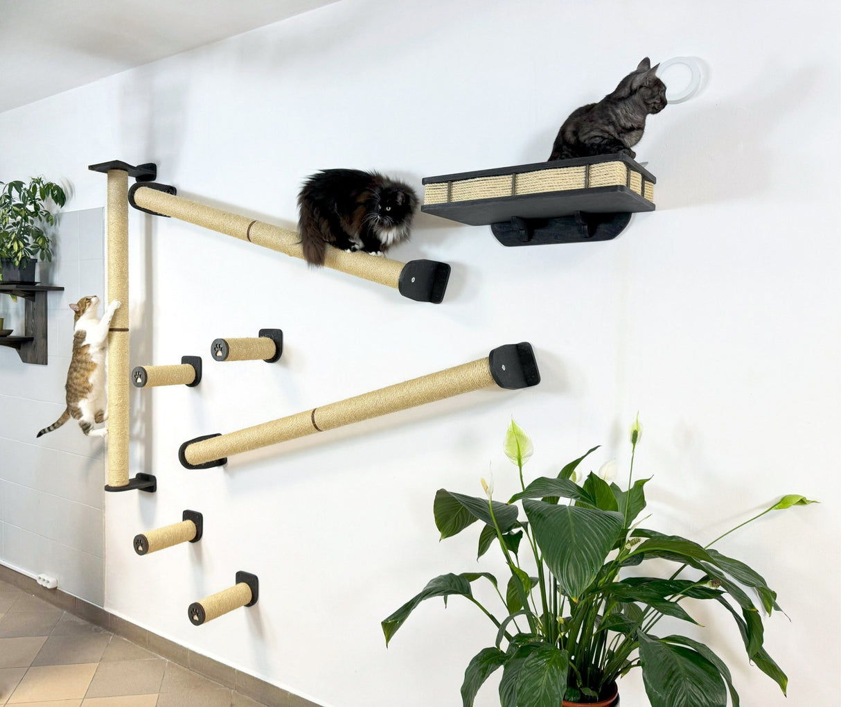 Wall-mounted cat climbing system with shelf, steps, and sisal posts.