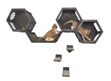 cat shelves for wall