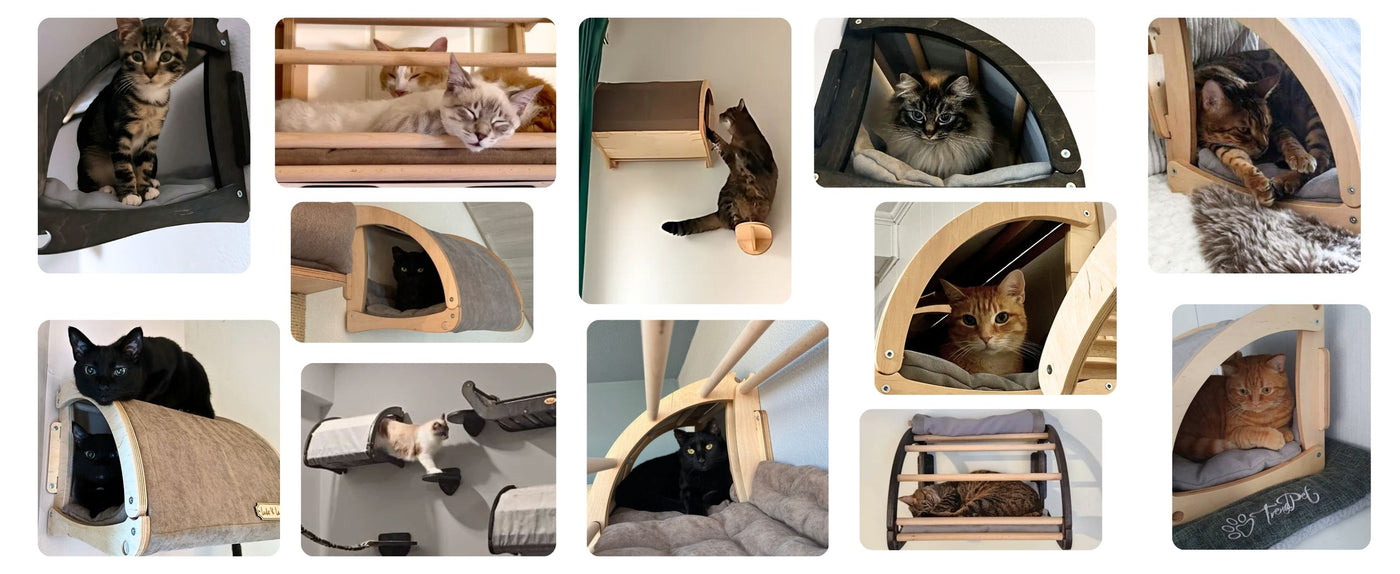 review collage wall mounted cat tunel bed
