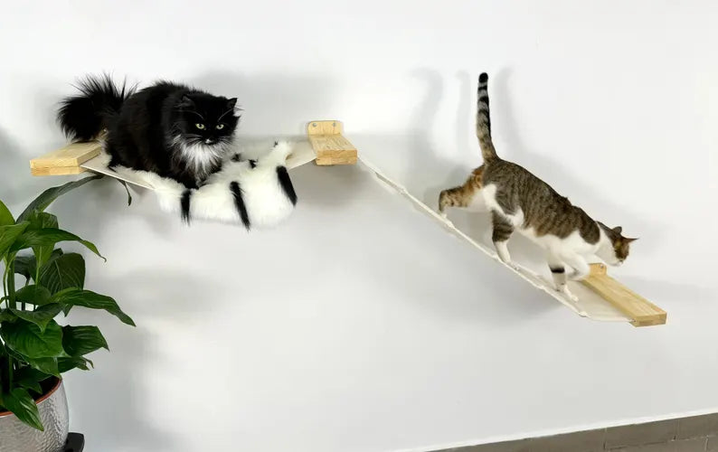 cat bridge for wall