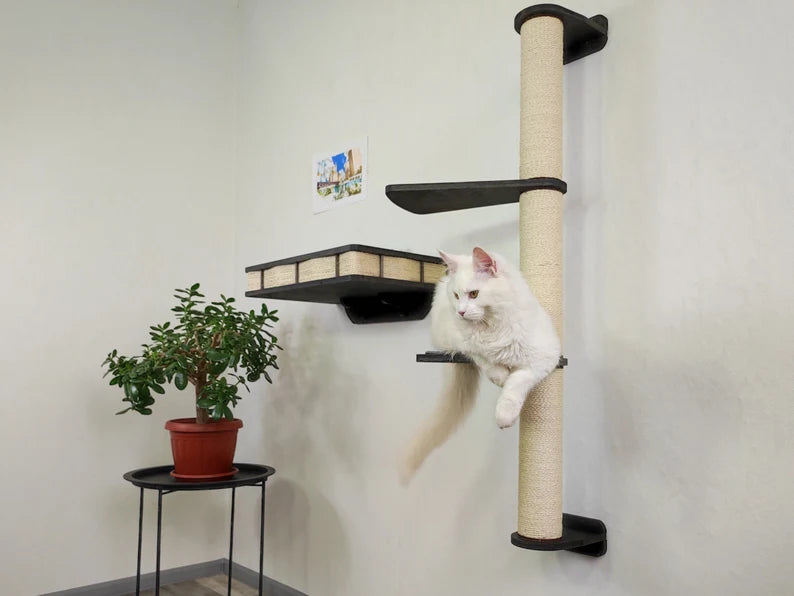 Cat wall scratching post