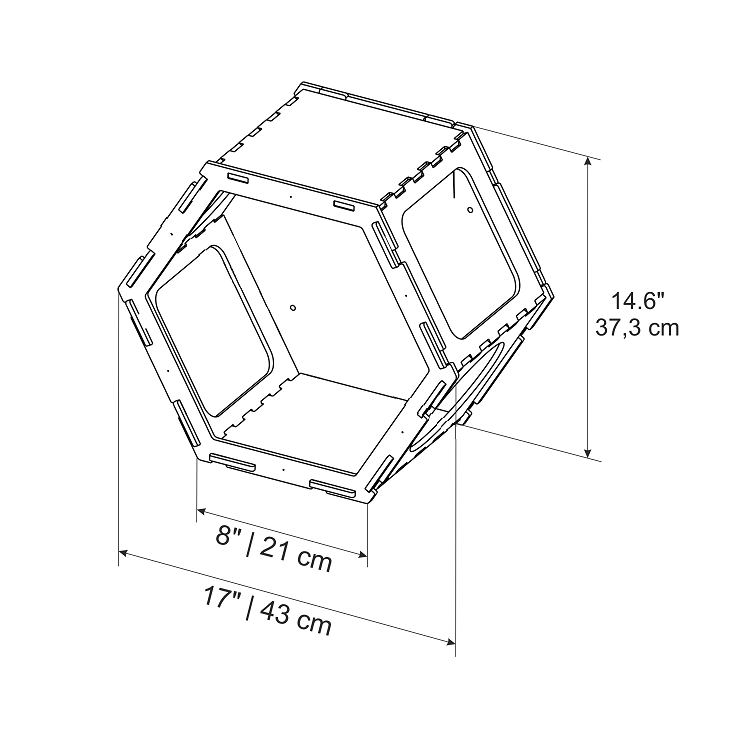Cat Hexagon Shelf with Cushion