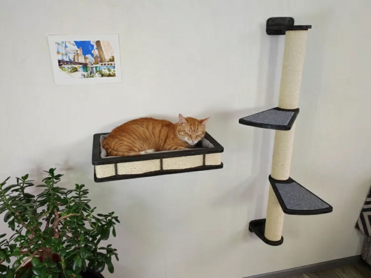 Cat resting on a wall-mounted cat shelf next to a scratching post against a white wall.