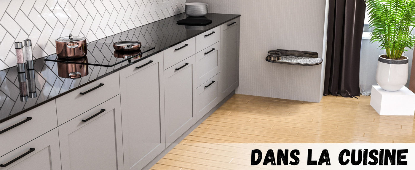 chats grimpants aux murs