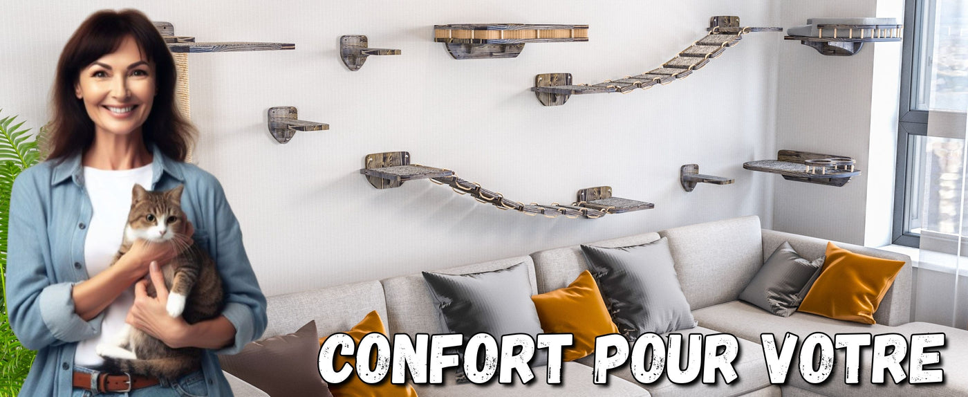 mur d'escalade pour chat