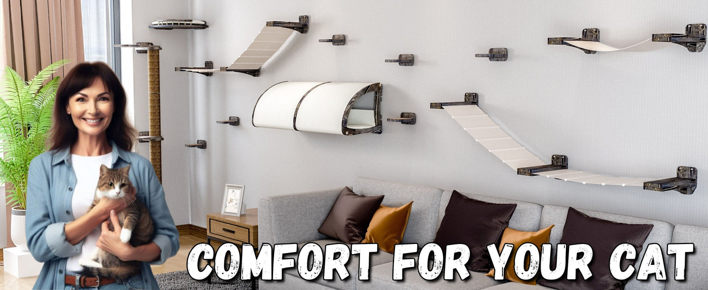 cat wall furniture