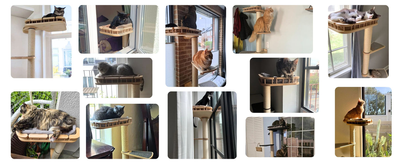 scratching poles for cats