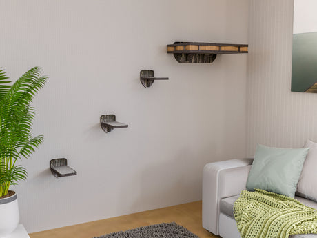 Modern living room with a gray sofa, green blanket, and cat wall shelves