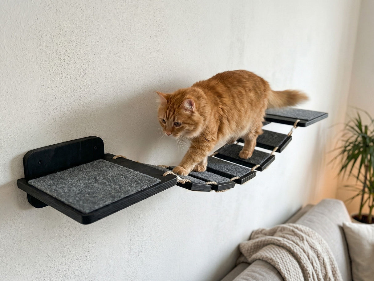 Cat walking on a black cat shelf attached to a white wall.