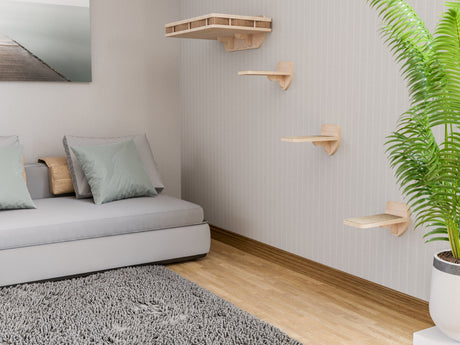 Modern living room with gray sofa, wooden wall shelves, and cat wall bed with steps