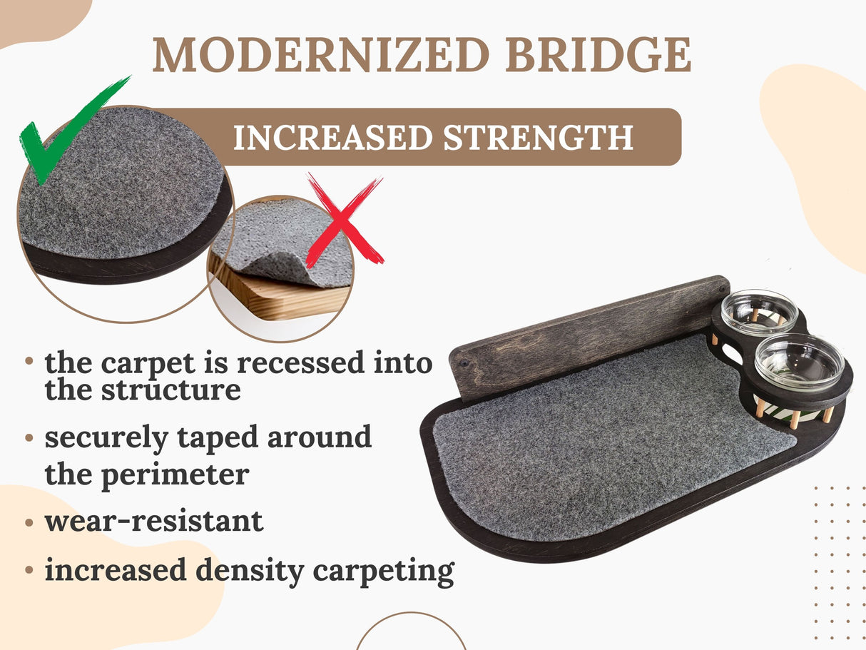 cat climbing wall shelves