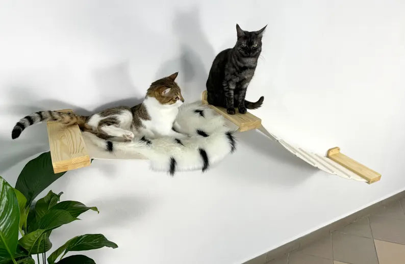 cat bridge walkway