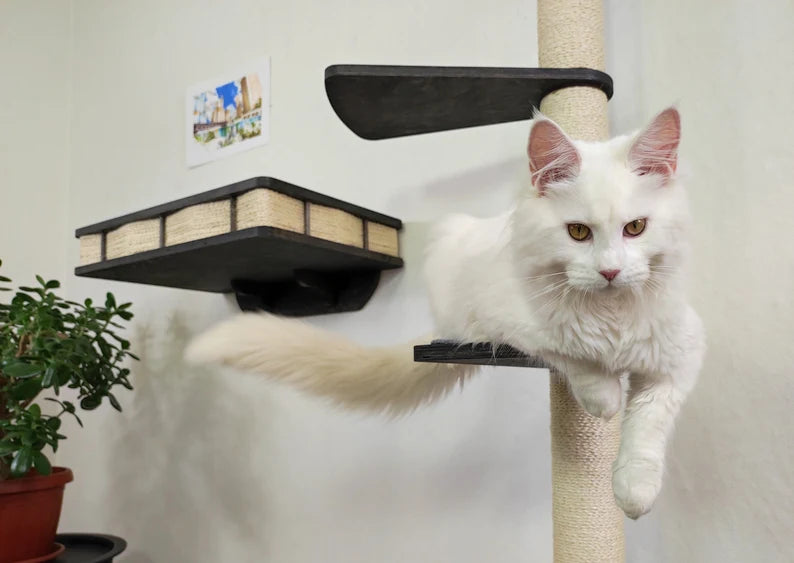 wall mounted cat tree with steps