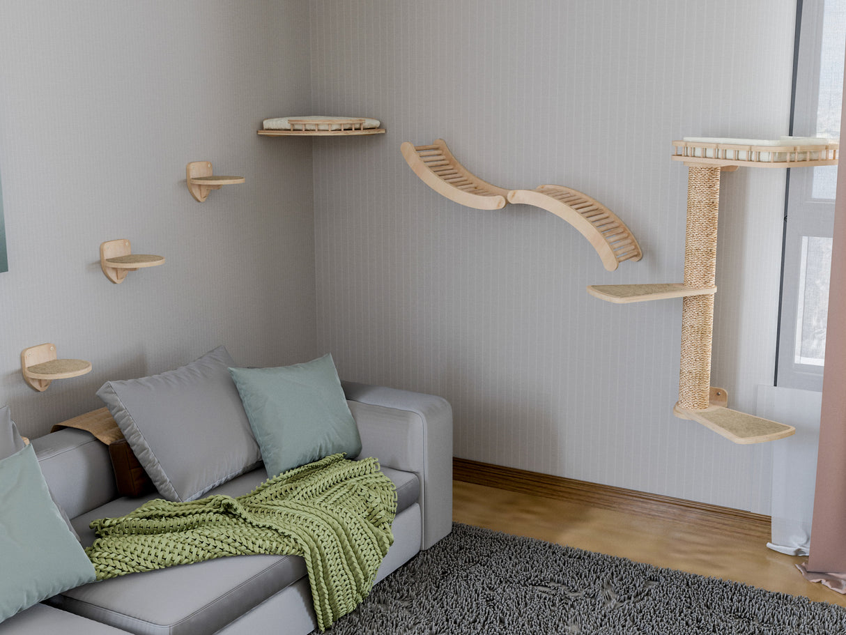 Cat climbing shelves on a wall above a sofa with green blanket