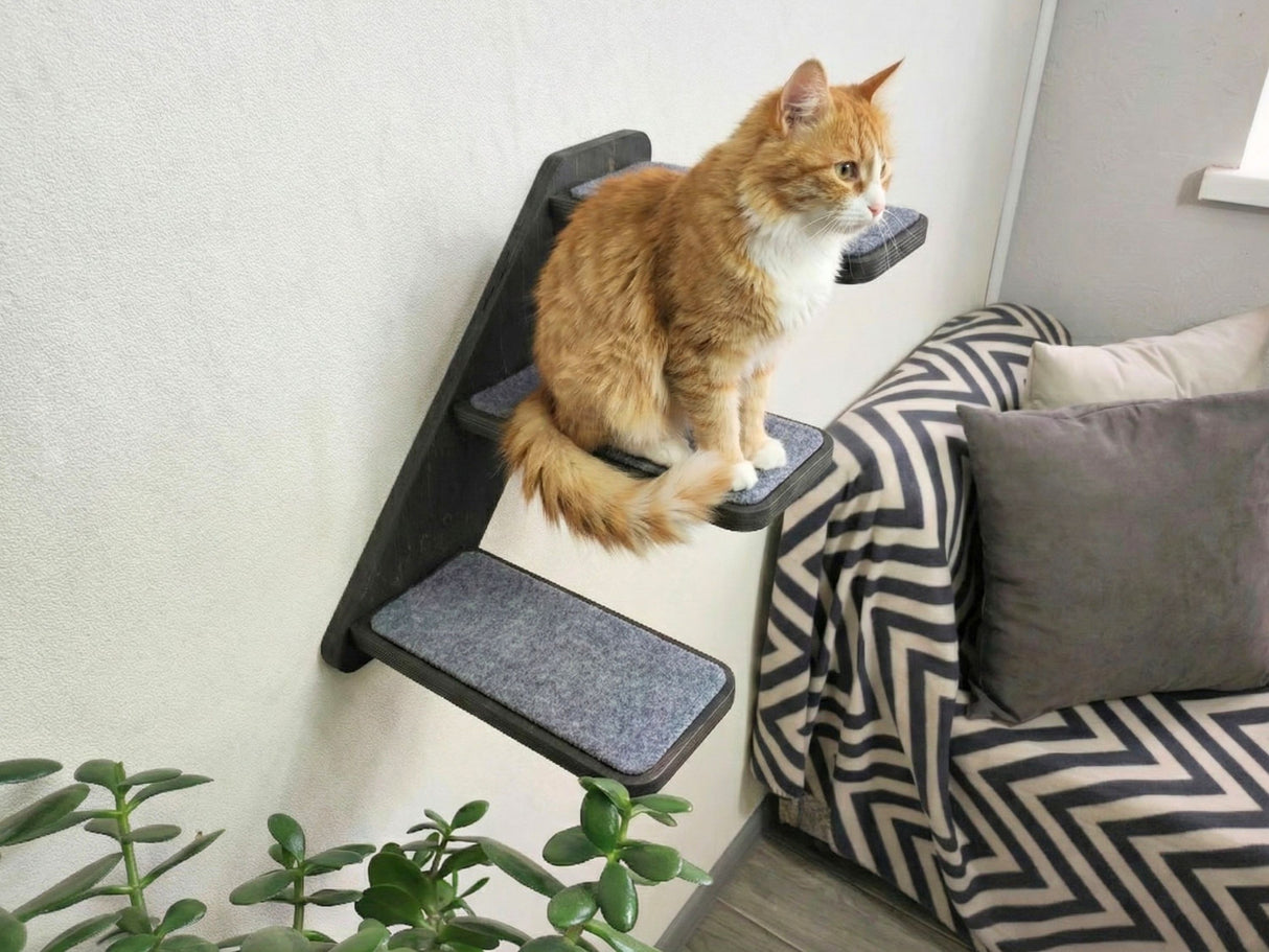 cat christmas gifts